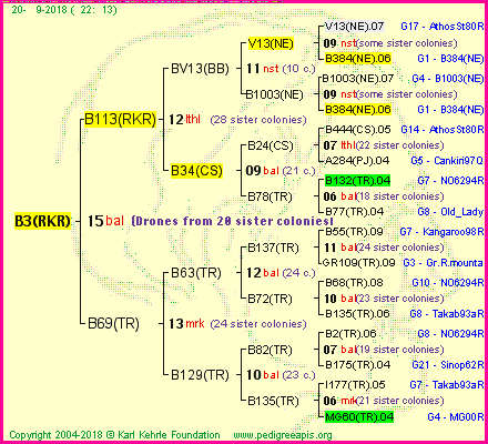 Pedigree of B3(RKR) :
four generations presented<br />it's temporarily unavailable, sorry!