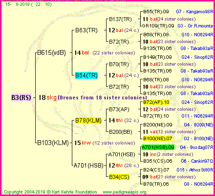 Pedigree of B3(RS) :
four generations presented
it's temporarily unavailable, sorry!