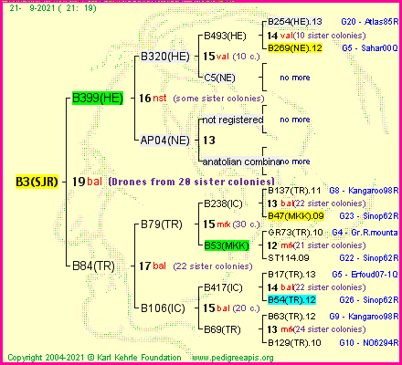 Pedigree of B3(SJR) :
four generations presented
it's temporarily unavailable, sorry!