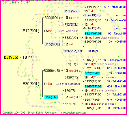 Pedigree of B3(VLG) :
four generations presented
it's temporarily unavailable, sorry!