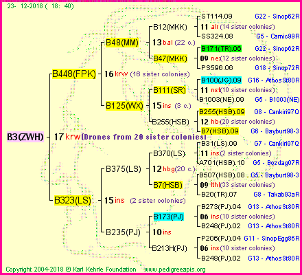 Pedigree of B3(ZWH) :
four generations presented<br />it's temporarily unavailable, sorry!