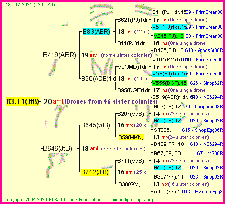 Pedigree of B3.11(JtB) :
four generations presented
it's temporarily unavailable, sorry!