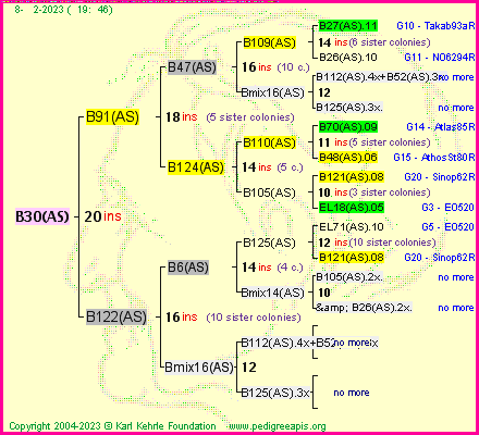 Pedigree of B30(AS) :
four generations presented
it's temporarily unavailable, sorry!