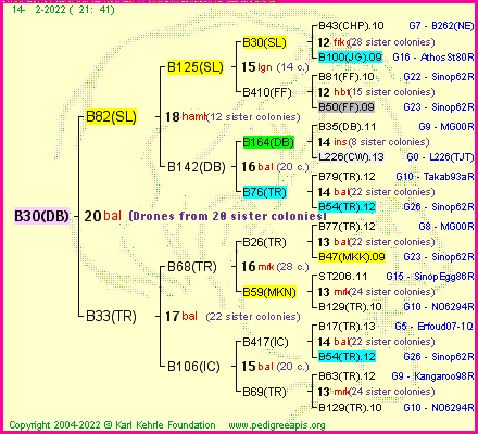 Pedigree of B30(DB) :
four generations presented
it's temporarily unavailable, sorry!