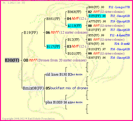 Pedigree of B30(FF) :
four generations presented