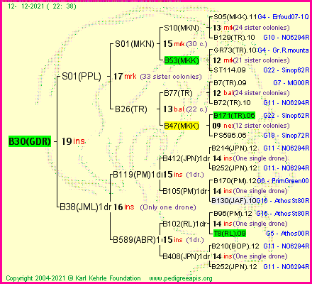 Pedigree of B30(GDR) :
four generations presented
it's temporarily unavailable, sorry!