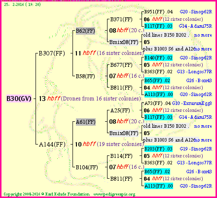 Pedigree of B30(GV) :
four generations presented
it's temporarily unavailable, sorry!