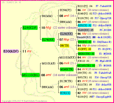 Pedigree of B30(KDF) :
four generations presented