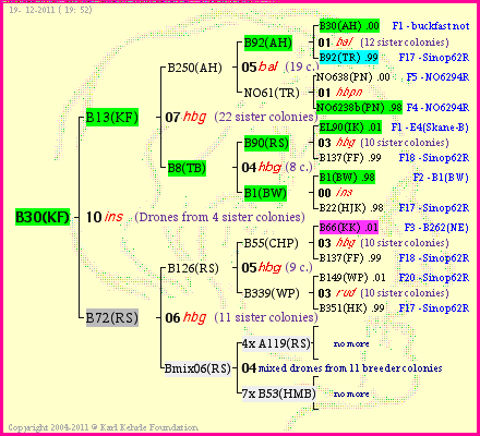 Pedigree of B30(KF) :
four generations presented