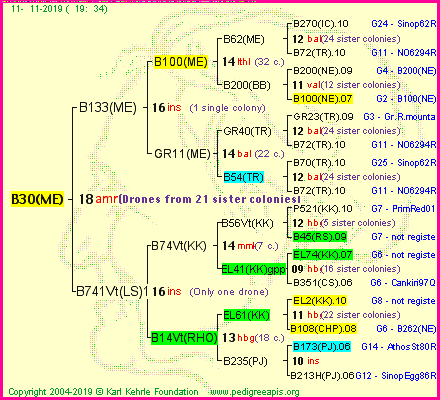 Pedigree of B30(ME) :
four generations presented
it's temporarily unavailable, sorry!