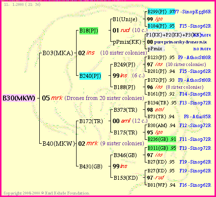 Pedigree of B30(MKW) :
four generations presented