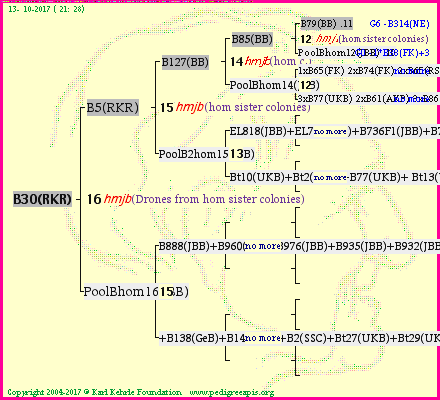 Pedigree of B30(RKR) :
four generations presented<br />it's temporarily unavailable, sorry!