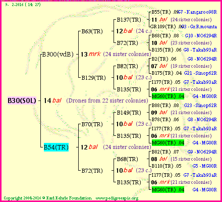 Pedigree of B30(SOL) :
four generations presented
it's temporarily unavailable, sorry!