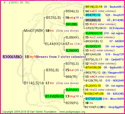 Pedigree of B300(ABK) :
four generations presented<br />it's temporarily unavailable, sorry!