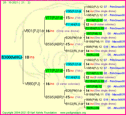 Pedigree of B300(MHG) :
four generations presented
it's temporarily unavailable, sorry!