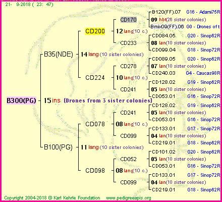 Pedigree of B300(PG) :
four generations presented<br />it's temporarily unavailable, sorry!