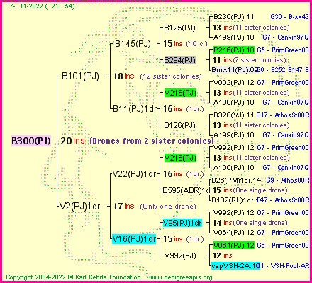 Pedigree of B300(PJ) :
four generations presented
it's temporarily unavailable, sorry!