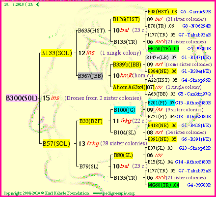 Pedigree of B300(SOL) :
four generations presented<br />it's temporarily unavailable, sorry!