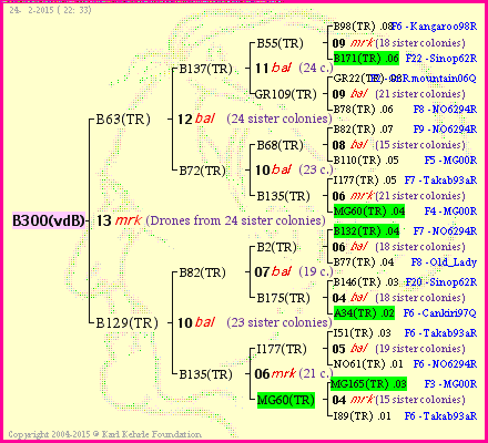 Pedigree of B300(vdB) :
four generations presented