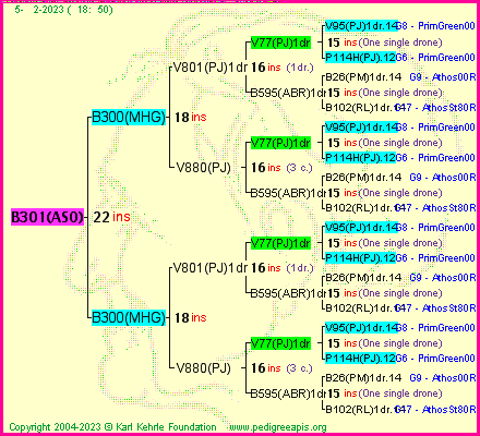 Pedigree of B301(ASO) :
four generations presented
it's temporarily unavailable, sorry!