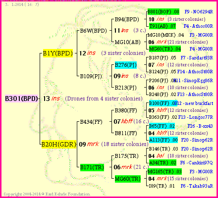 Pedigree of B301(BPD) :
four generations presented