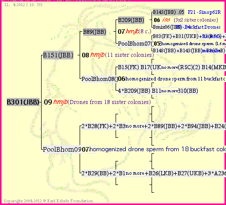 Pedigree of B301(JBB) :
four generations presented