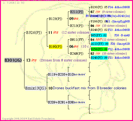 Pedigree of B301(JG) :
four generations presented