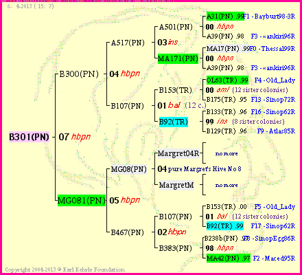 Pedigree of B301(PN) :
four generations presented