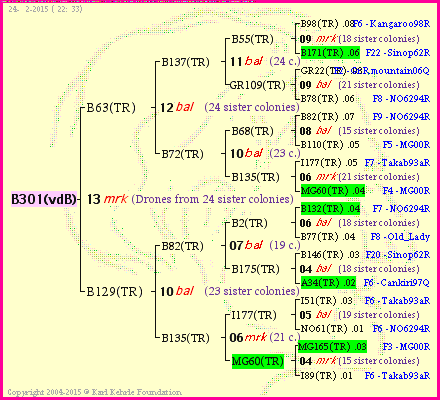 Pedigree of B301(vdB) :
four generations presented