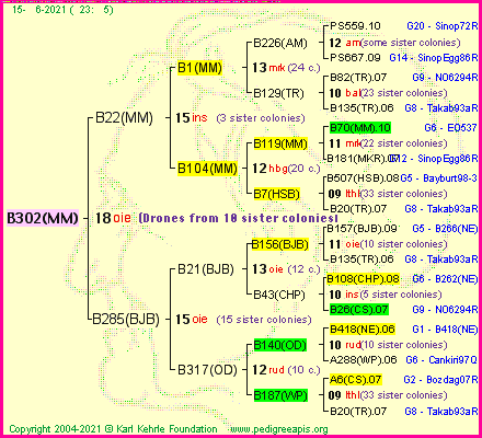 Pedigree of B302(MM) :
four generations presented
it's temporarily unavailable, sorry!