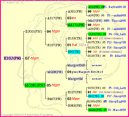 Pedigree of B302(PN) :
four generations presented