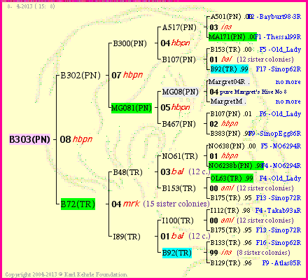 Pedigree of B303(PN) :
four generations presented