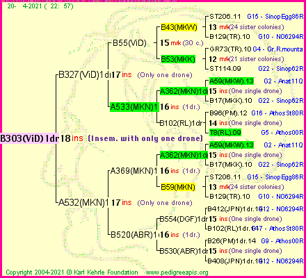 Pedigree of B303(ViD)1dr :
four generations presented
it's temporarily unavailable, sorry!