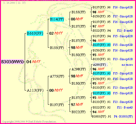 Pedigree of B303(WWS) :
four generations presented