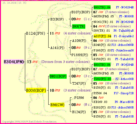 Pedigree of B304(JPN) :
four generations presented<br />it's temporarily unavailable, sorry!