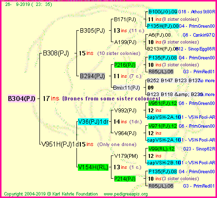 Pedigree of B304(PJ) :
four generations presented<br />it's temporarily unavailable, sorry!