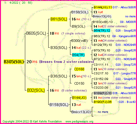 Pedigree of B305(SOL) :
four generations presented
it's temporarily unavailable, sorry!