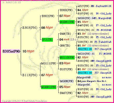 Pedigree of B305a(PN) :
four generations presented