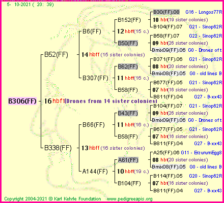 Pedigree of B306(FF) :
four generations presented
it's temporarily unavailable, sorry!