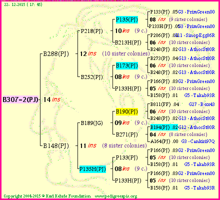 Pedigree of B307-2(PJ) :
four generations presented