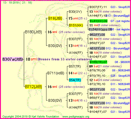 Pedigree of B307a(JtB) :
four generations presented<br />it's temporarily unavailable, sorry!