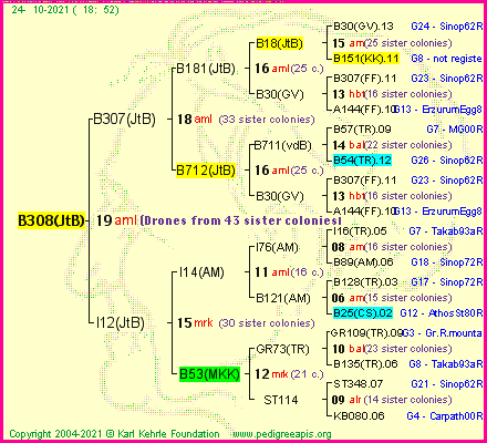 Pedigree of B308(JtB) :
four generations presented
it's temporarily unavailable, sorry!