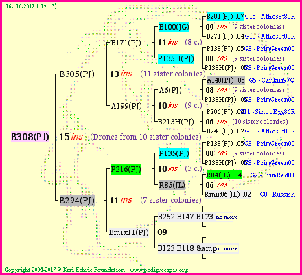 Pedigree of B308(PJ) :
four generations presented<br />it's temporarily unavailable, sorry!