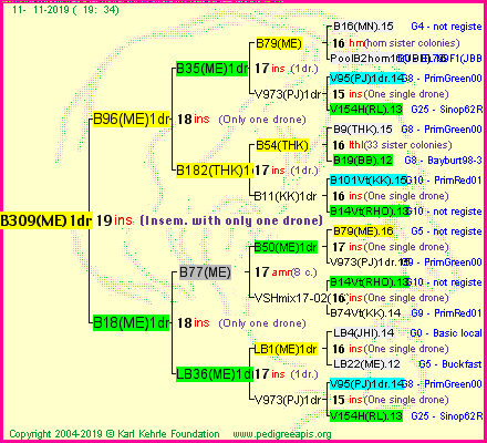 Pedigree of B309(ME)1dr :
four generations presented
it's temporarily unavailable, sorry!