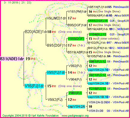 Pedigree of B31(ADE)1dr :
four generations presented<br />it's temporarily unavailable, sorry!