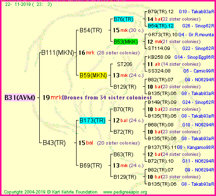 Pedigree of B31(AVM) :
four generations presented
it's temporarily unavailable, sorry!