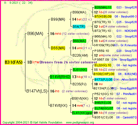 Pedigree of B31(FAS) :
four generations presented
it's temporarily unavailable, sorry!