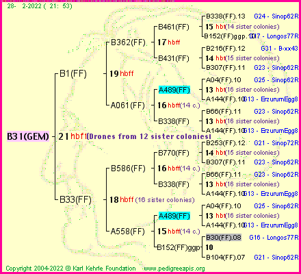 Pedigree of B31(GEM) :
four generations presented
it's temporarily unavailable, sorry!