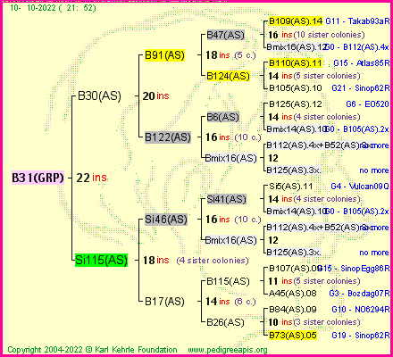 Pedigree of B31(GRP) :
four generations presented
it's temporarily unavailable, sorry!