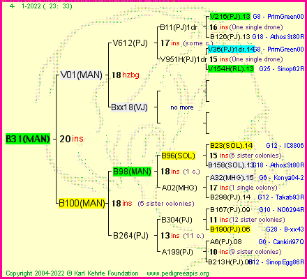 Pedigree of B31(MAN) :
four generations presented
it's temporarily unavailable, sorry!